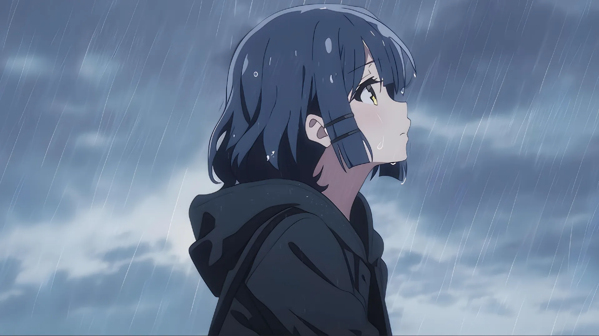 悟界ShareHub
